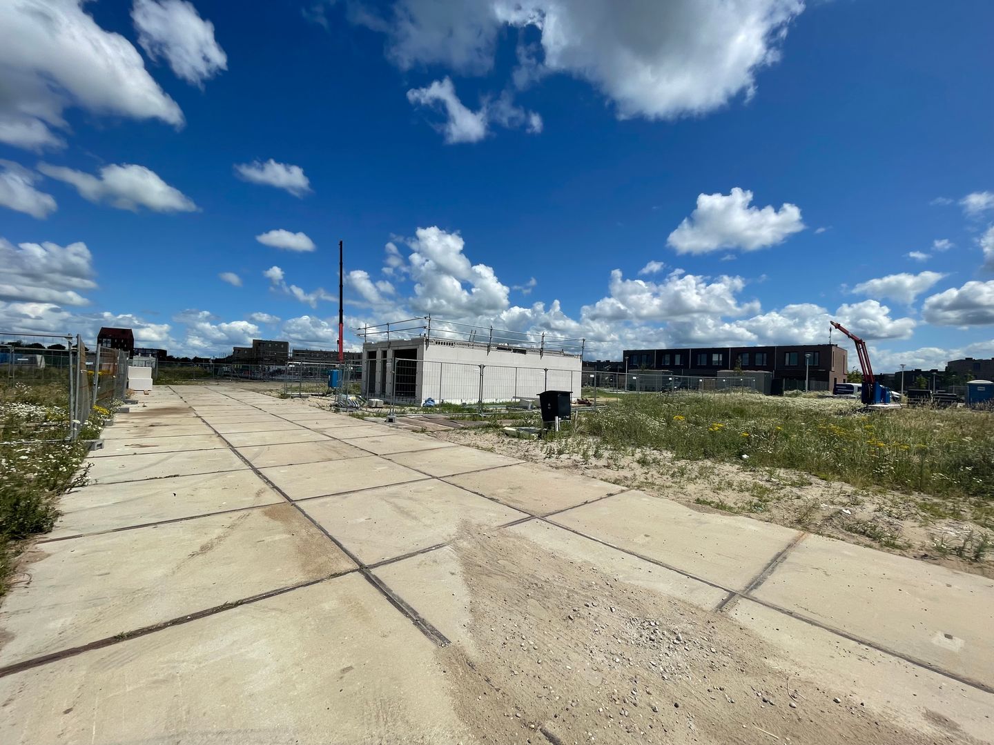 Foto 12 van Weideburen