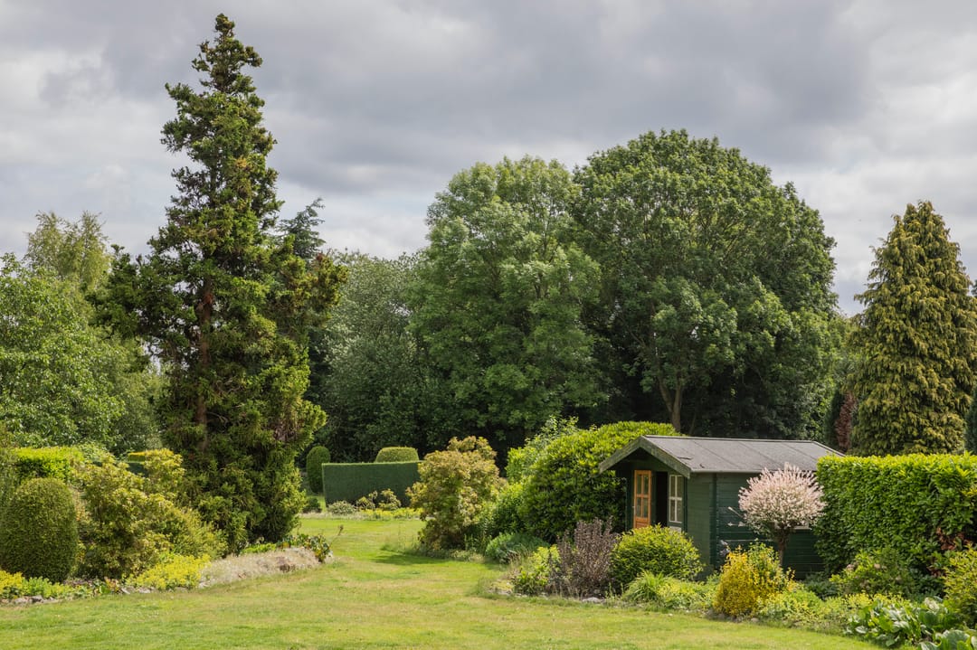 Foto 43 van Westerdiep OZ 101