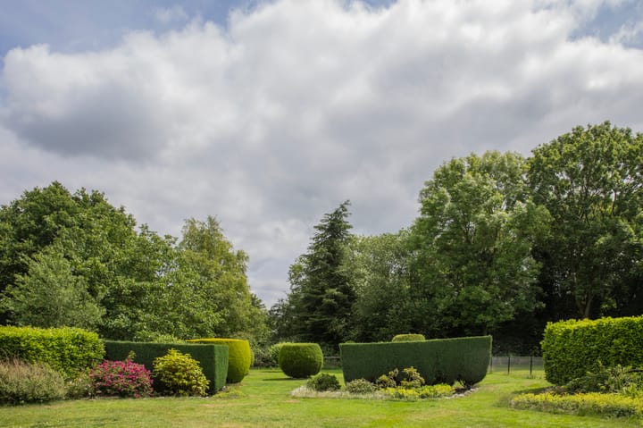 Photo 45 of Westerdiep OZ 101