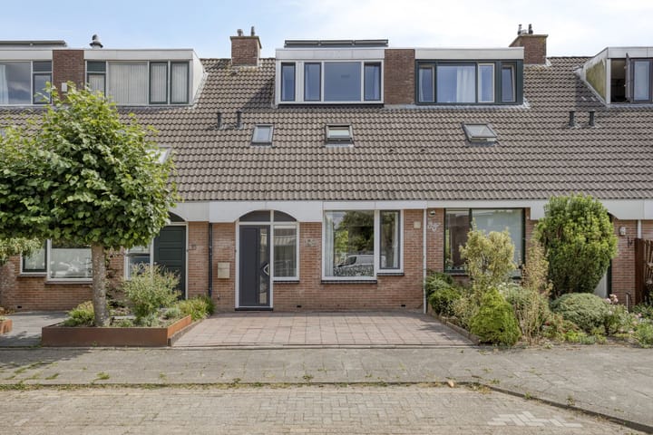 Foto 1 van Punter 12