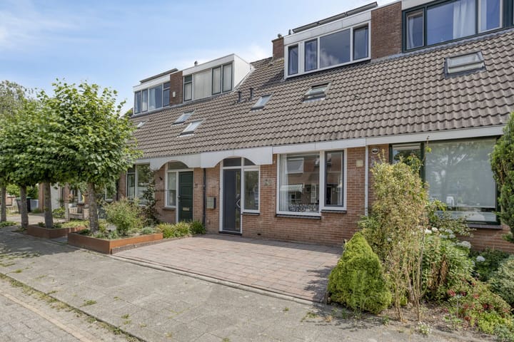 Foto 5 van Punter 12