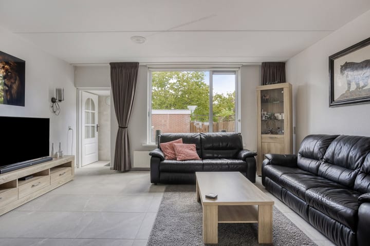 Foto 7 van Punter 12