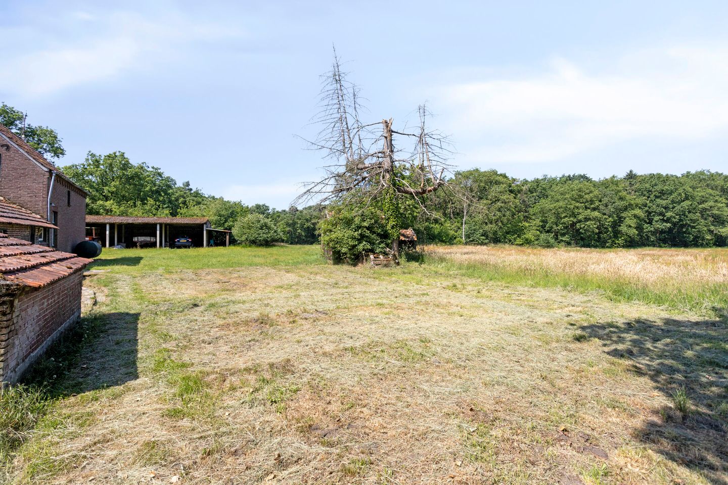 Foto 25 van Stramproyergrensweg 60