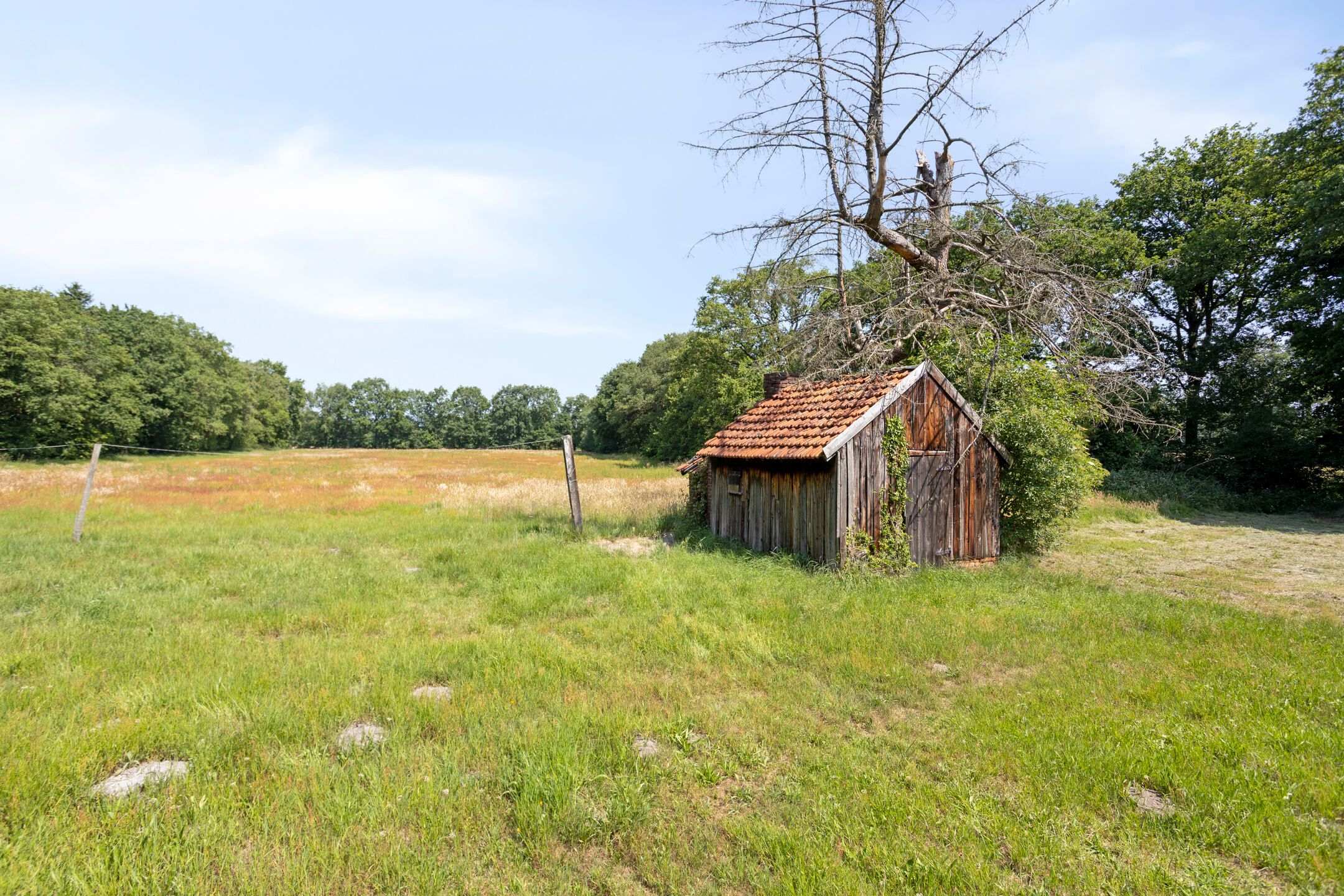 Foto 27 van Stramproyergrensweg 60