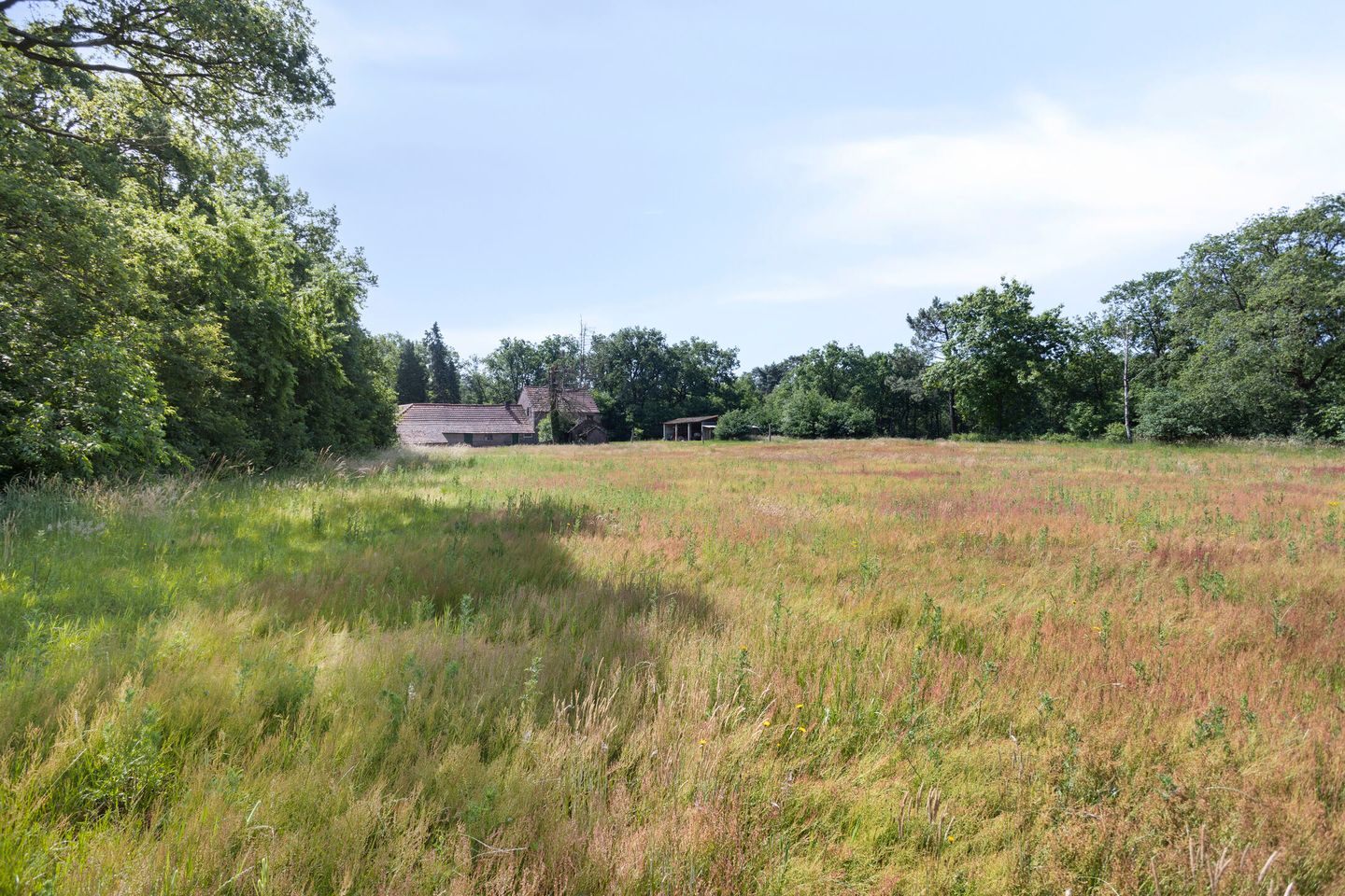 Foto 29 van Stramproyergrensweg 60