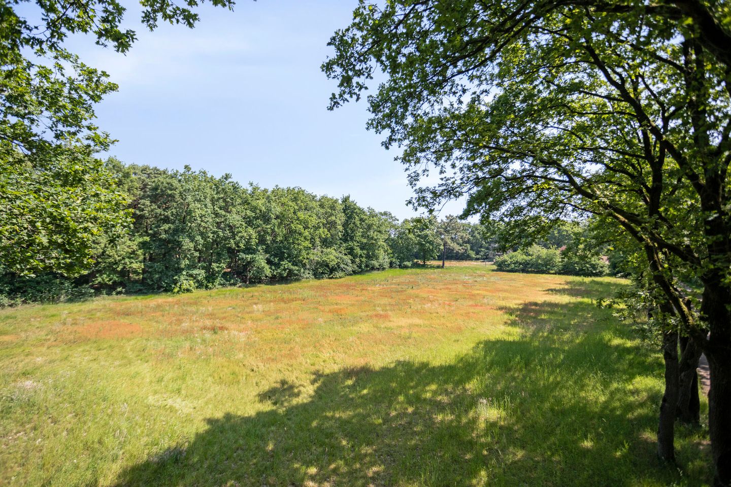 Foto 34 van Stramproyergrensweg 60