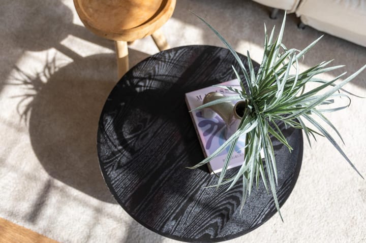 Foto 28 van Rembrandtlaan 33-B