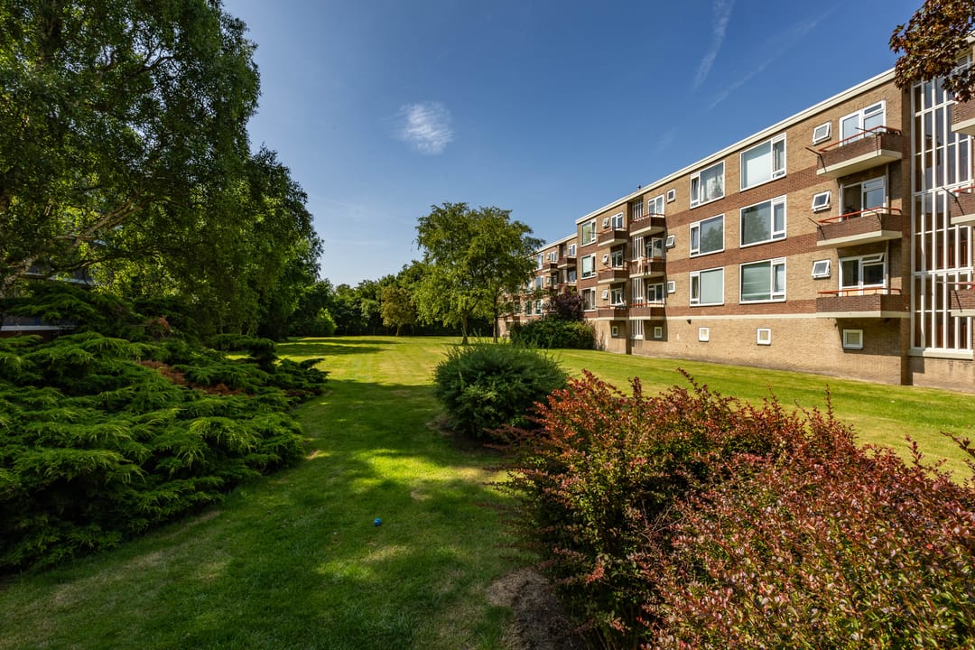 Foto 32 van Paterswoldseweg 287-4