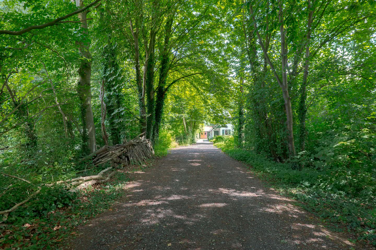 Foto 4 van Zuideind 19