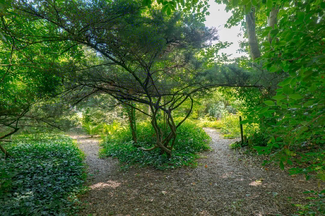 Foto 77 van Zuideind 19