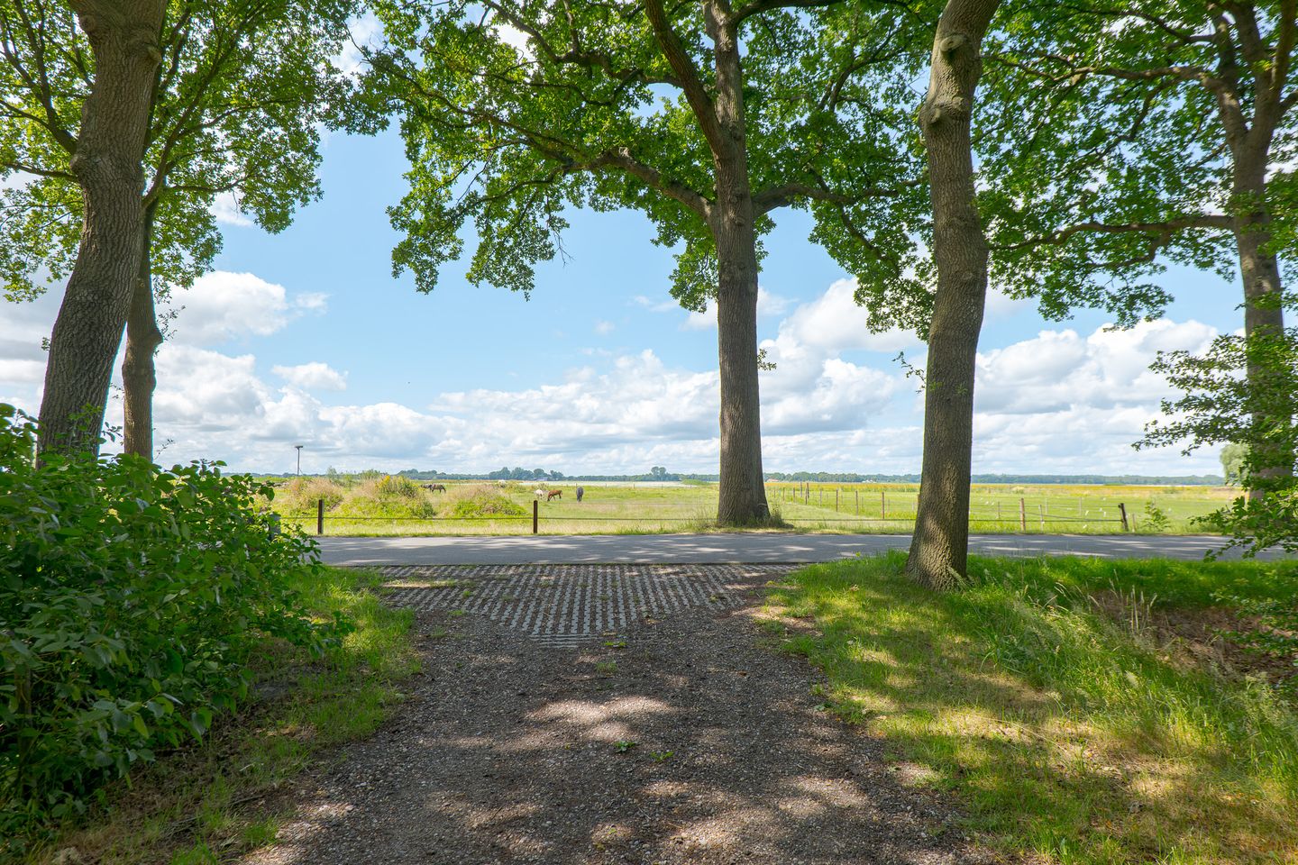 Foto 80 van Zuideind 19