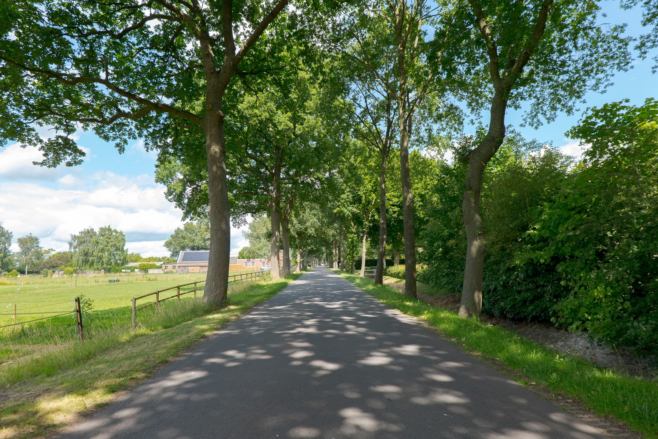 Foto 81 van Zuideind 19