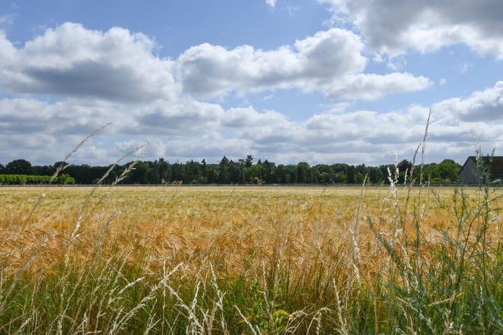 Foto 24 van Rinkesfort 3