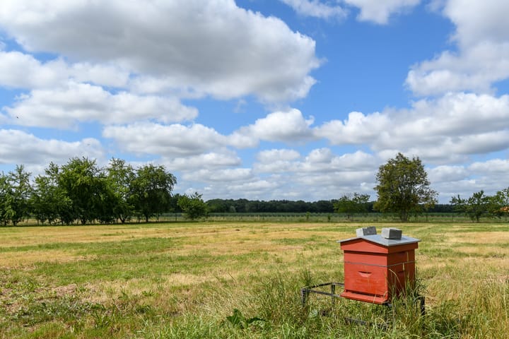Foto 34 van Rinkesfort 3