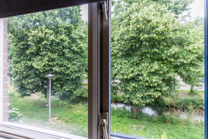 Foto 34 van Reiger 80