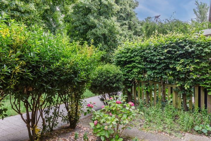 Foto 43 van Reiger 80