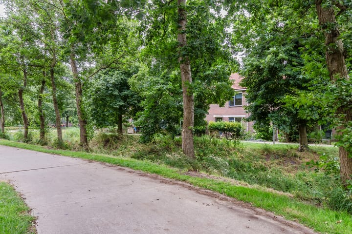 Foto 45 van Reiger 80