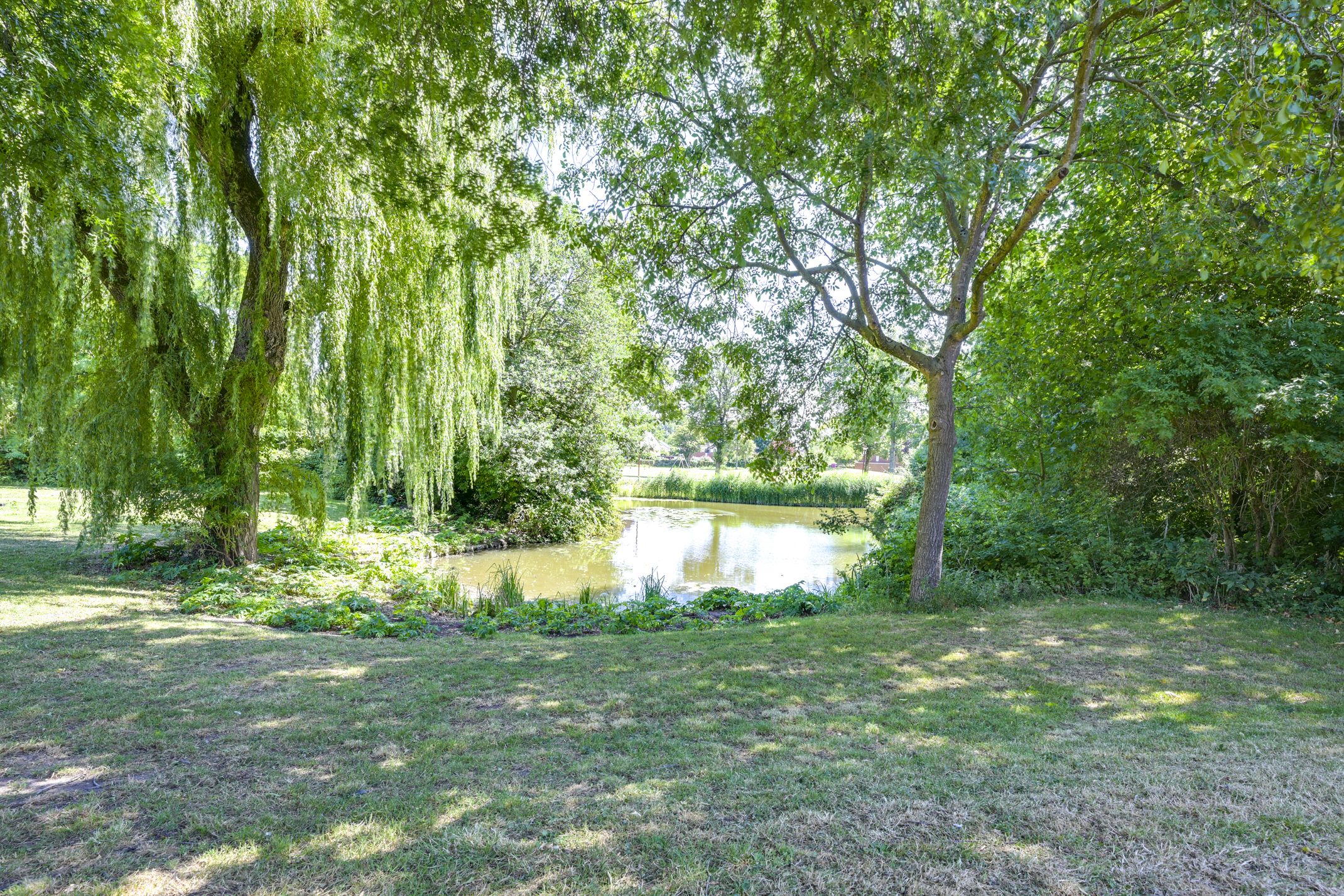 Foto 72 van Elandweide 98