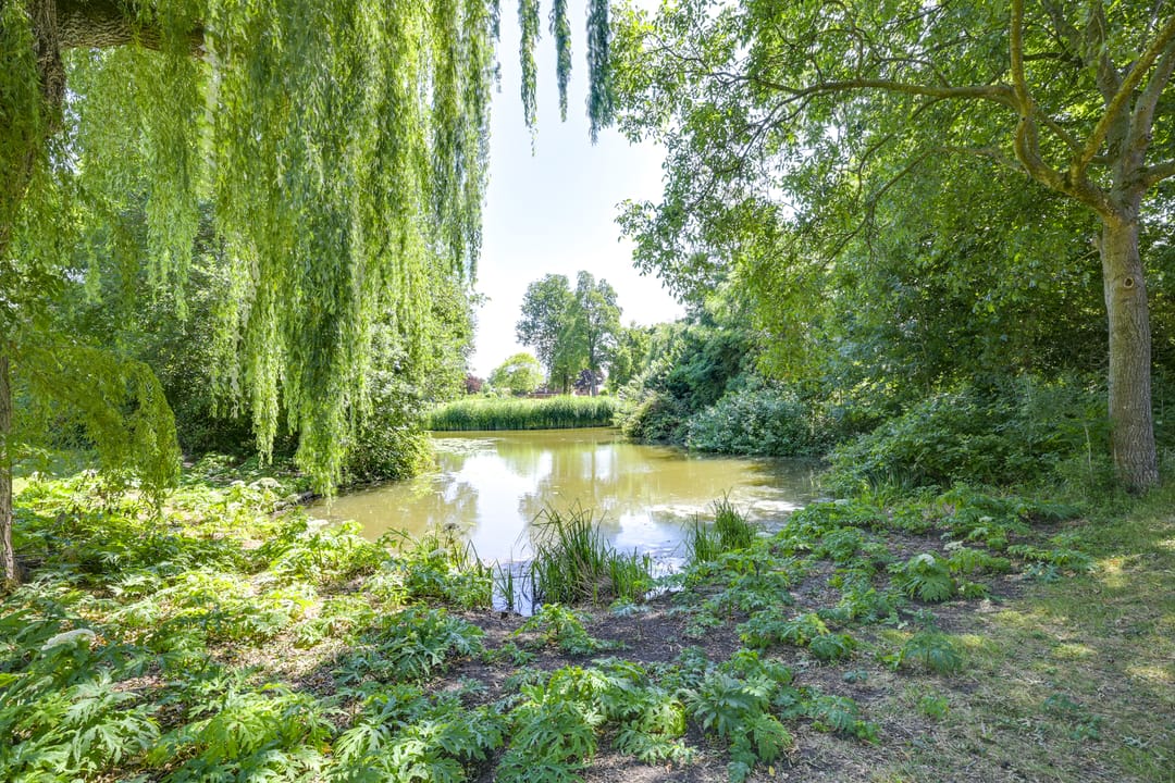 Foto 73 van Elandweide 98