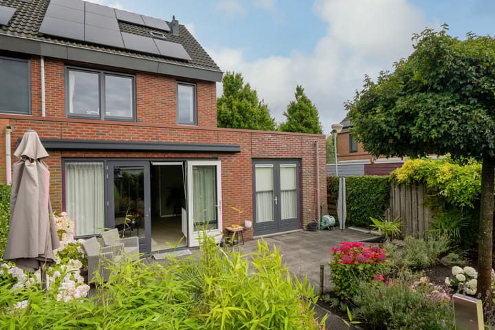 Foto 2 van Scholekster 1