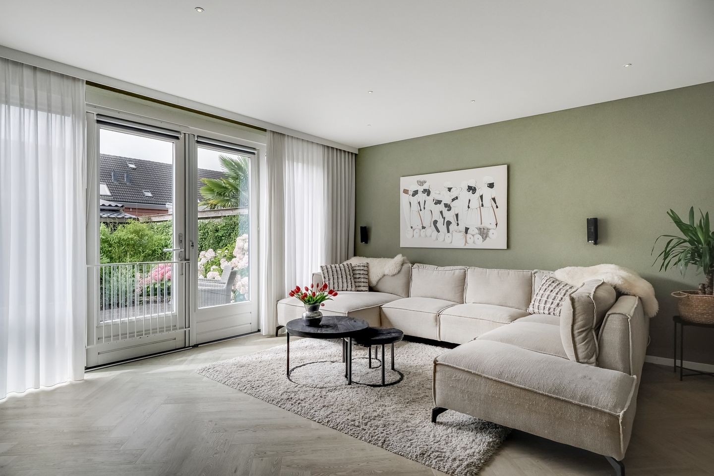 Photo 5 of Scholekster 1