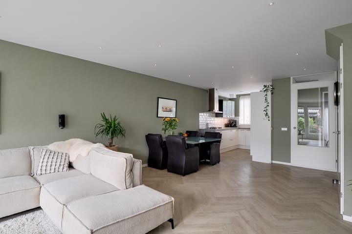 Foto 9 van Scholekster 1