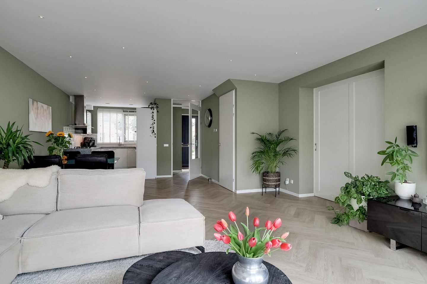 Photo 10 of Scholekster 1