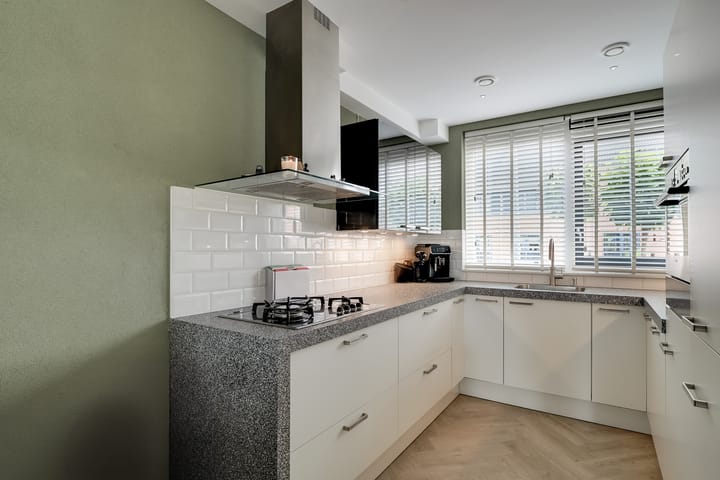 Foto 13 van Scholekster 1