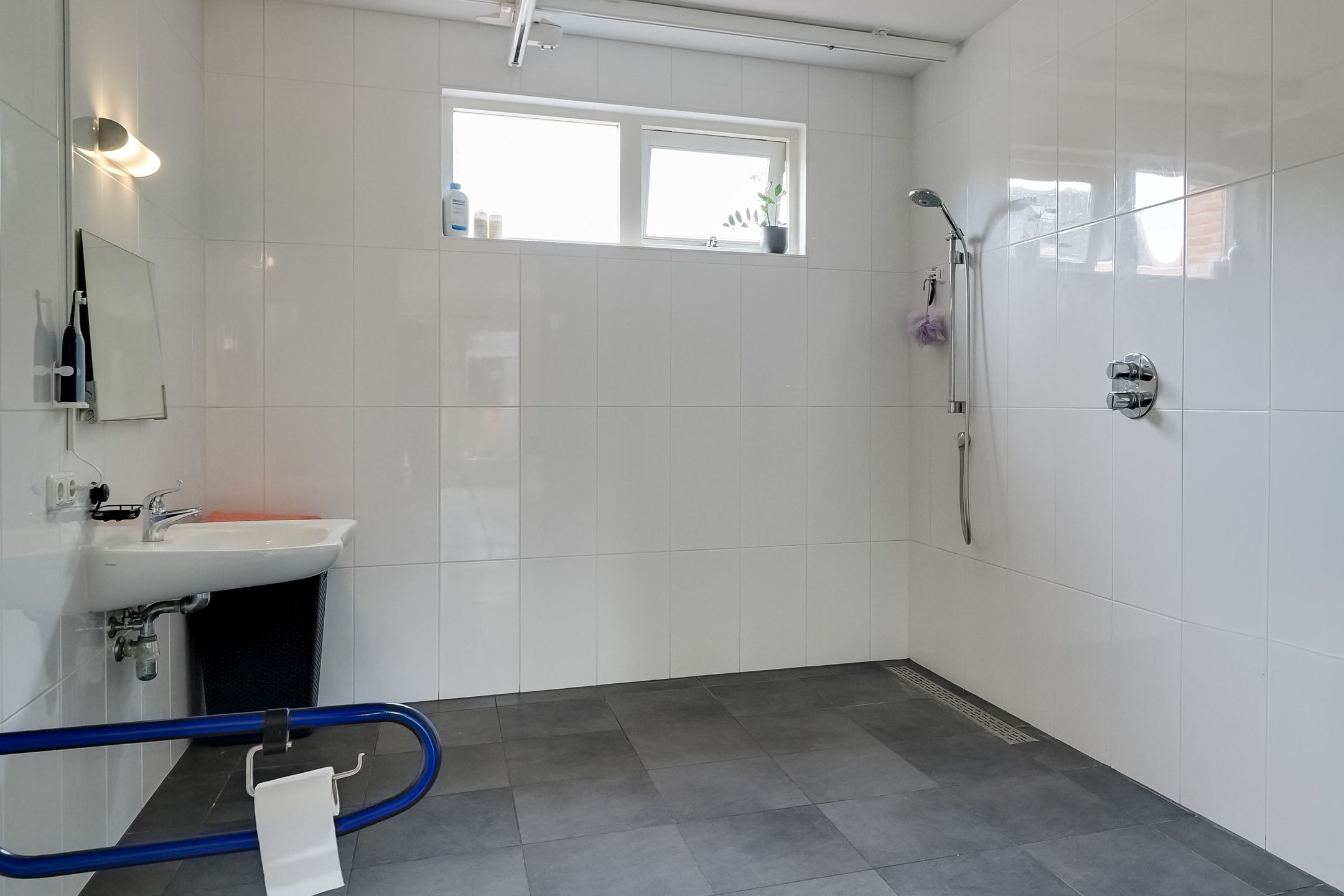 Photo 18 of Scholekster 1