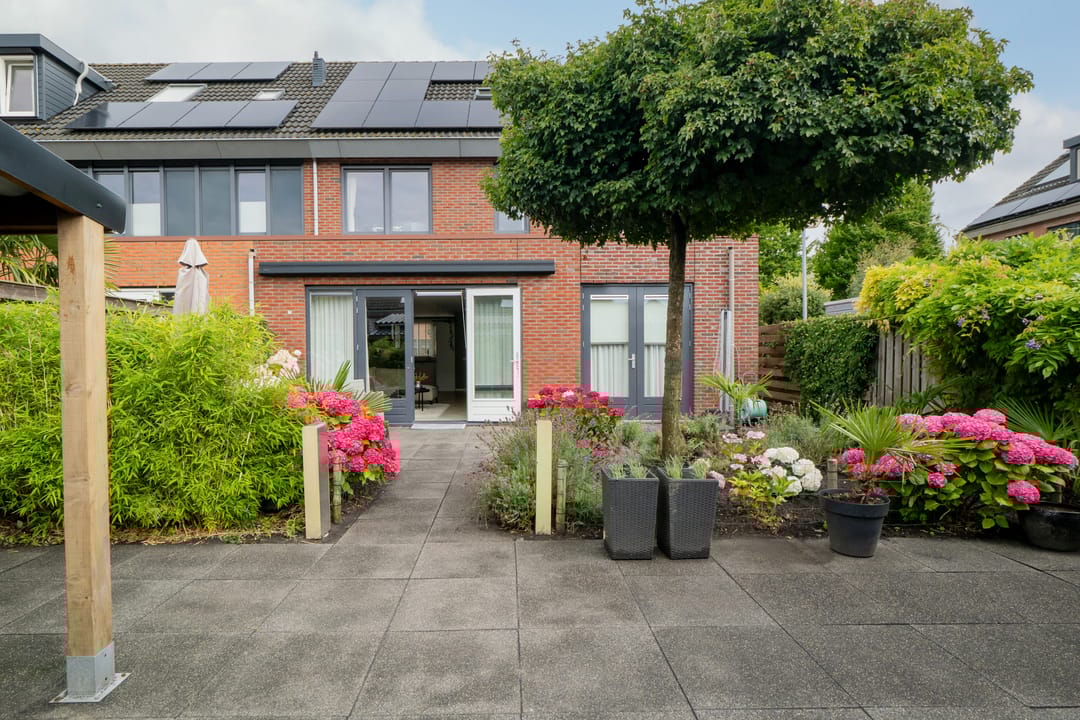 Photo 32 of Scholekster 1