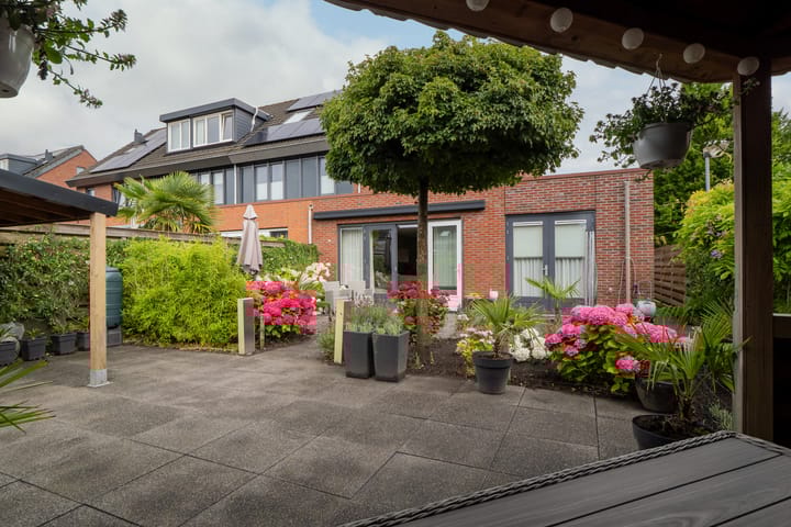 Foto 33 van Scholekster 1