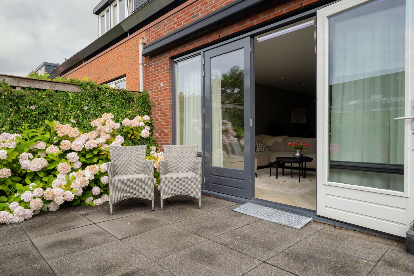 Photo 34 of Scholekster 1