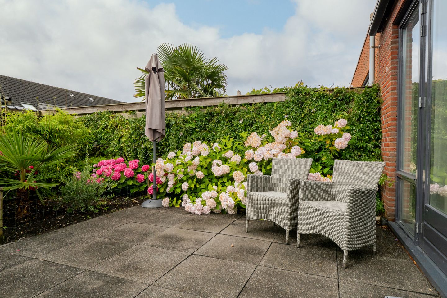 Photo 35 of Scholekster 1