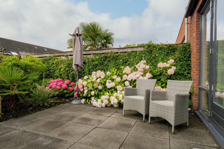 Foto 35 van Scholekster 1