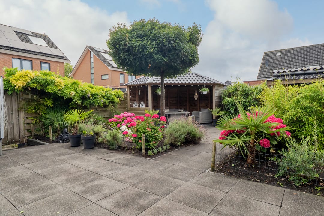 Photo 37 of Scholekster 1