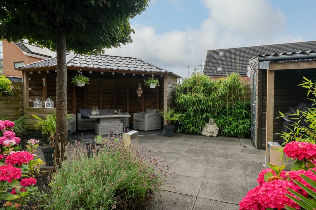 Photo 38 of Scholekster 1