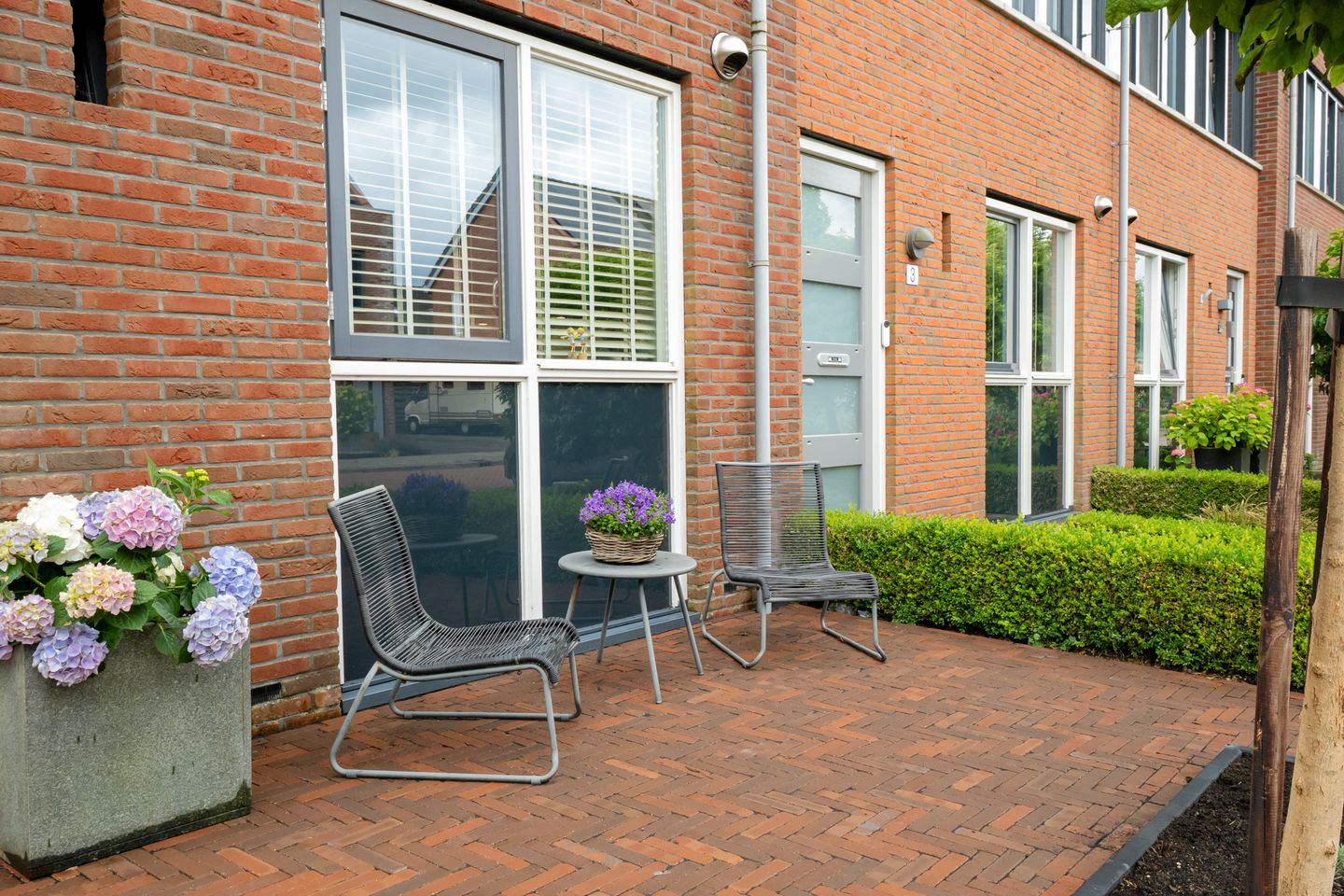 Photo 40 of Scholekster 1