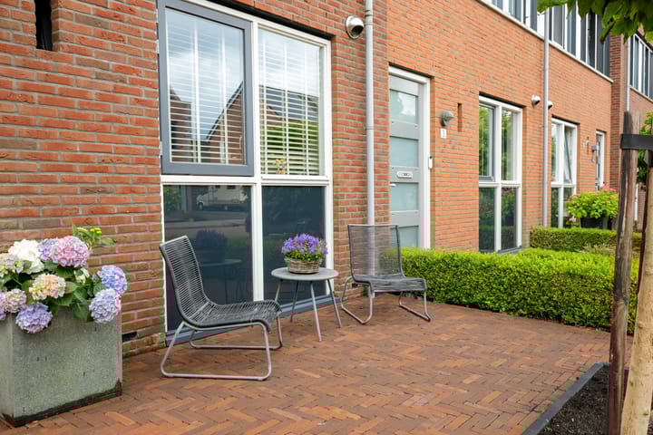 Foto 40 van Scholekster 1