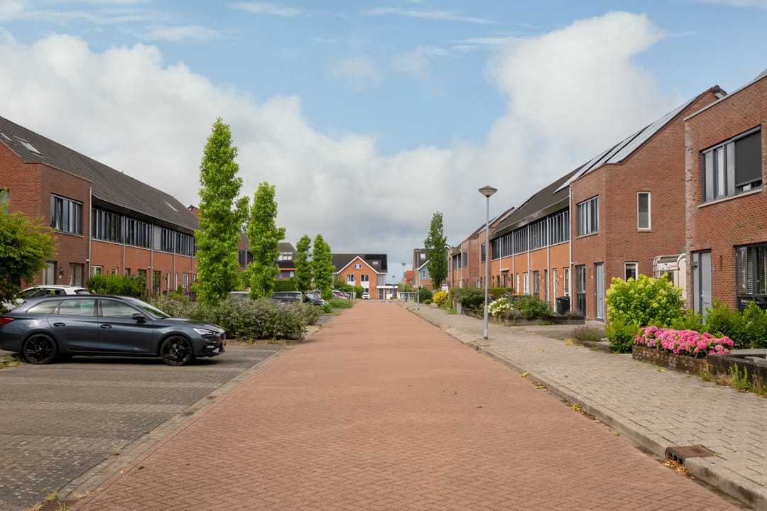 Photo 41 of Scholekster 1