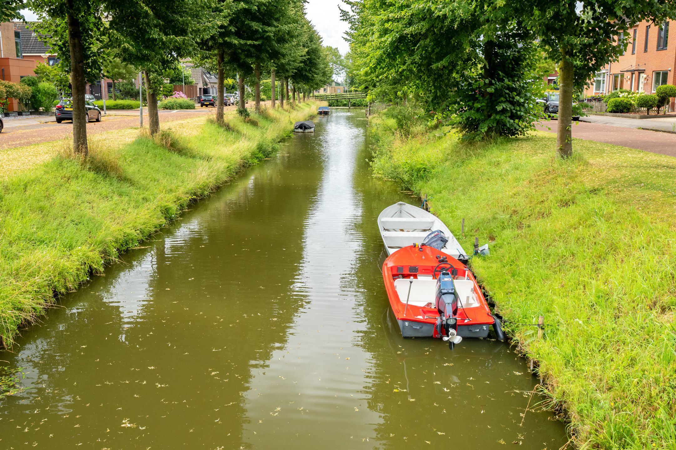 Photo 42 of Scholekster 1