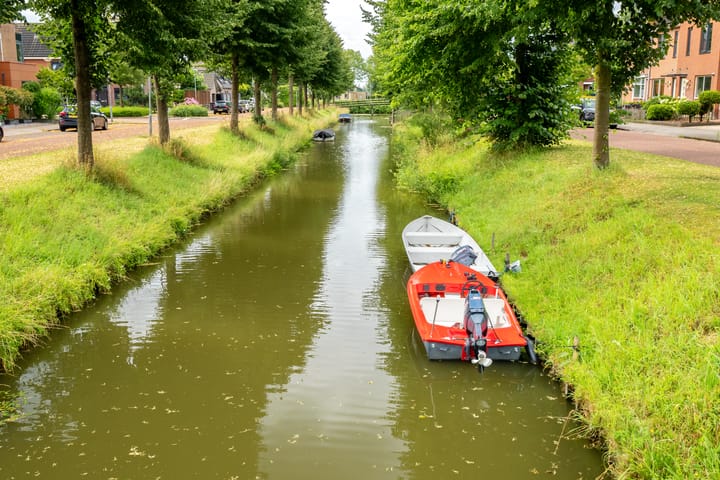 Foto 42 van Scholekster 1