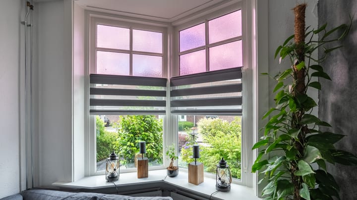 Foto 3 van Dahliastraat 16