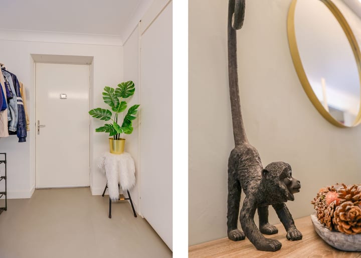 Foto 29 van Salsastraat 105