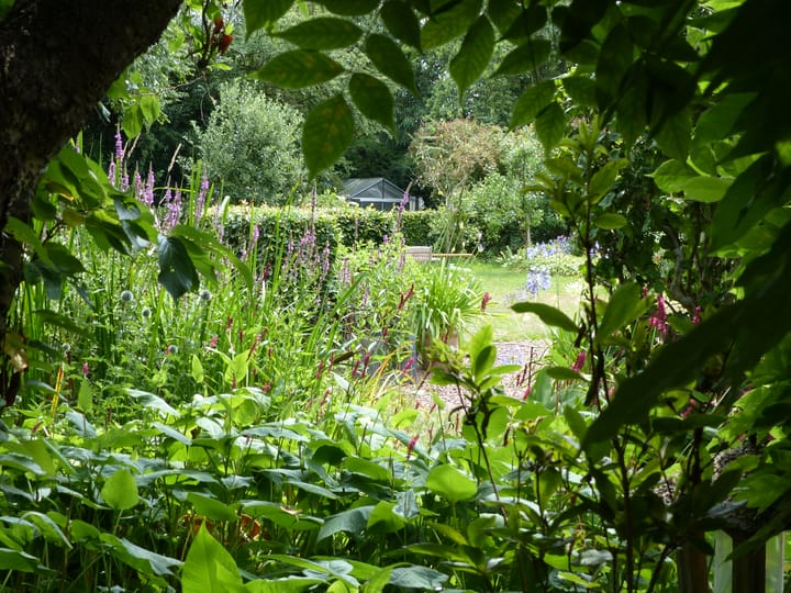 Foto 39 van Nieuwe Weteringseweg 189