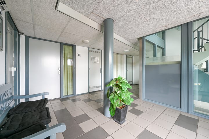 Foto 6 van Vuurland 41