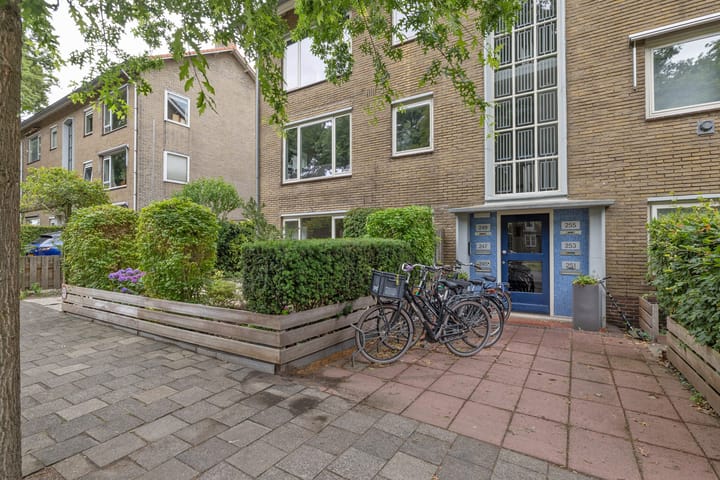 Foto 15 van Bosdrift 245