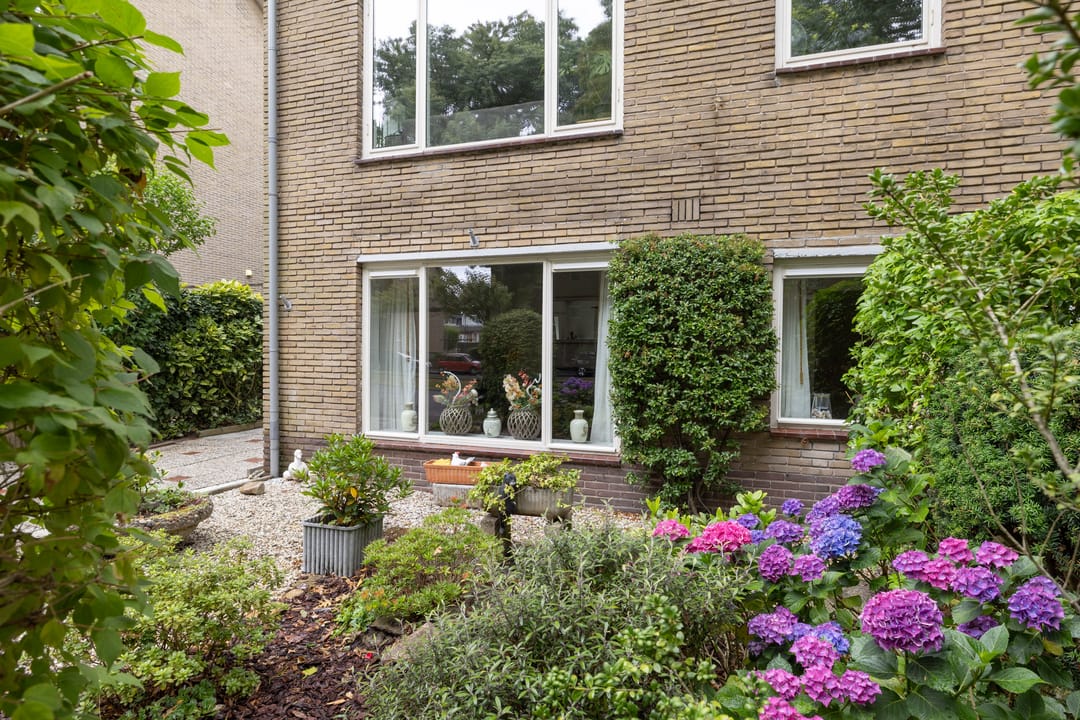 Foto 16 van Bosdrift 245