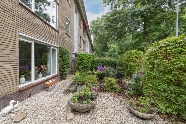 Foto 18 van Bosdrift 245