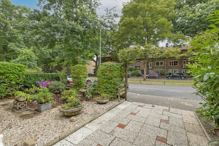 Foto 29 van Bosdrift 245