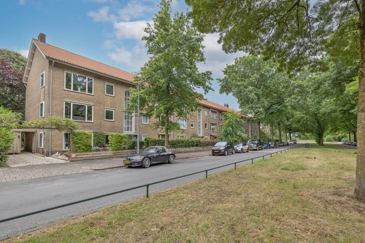 Foto 30 van Bosdrift 245